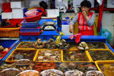 “魚去人空” 韓國海鮮市場遇冷，漁民憂心“飯碗”不保